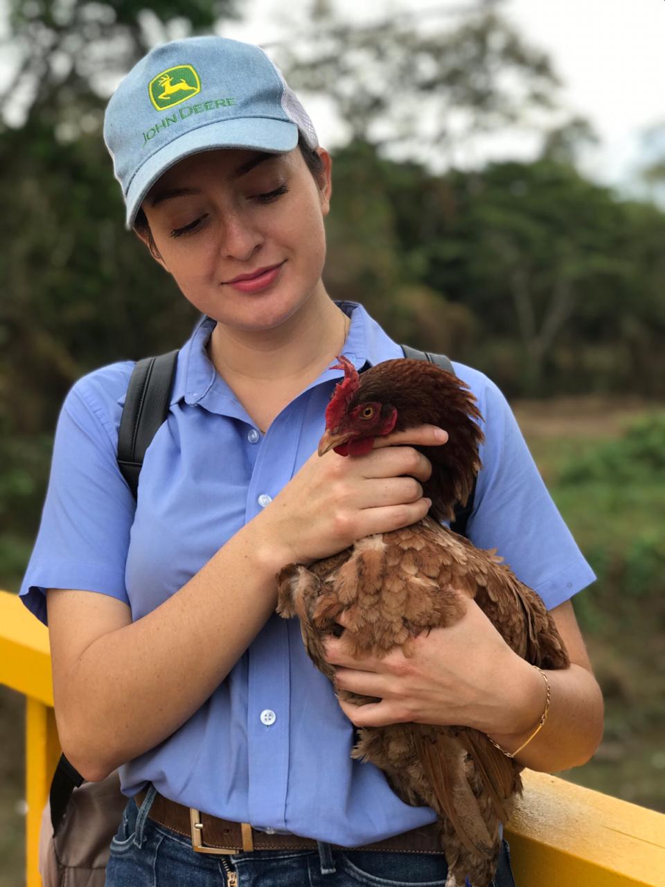 Arriba 80+ imagen carrera de veterinaria en honduras